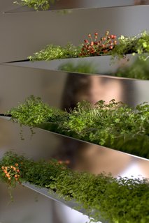 Grass Mirror - Photo 2 of 5 -