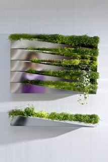 Grass Mirror - Photo 4 of 5 -