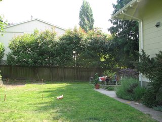 Bedroom Addition in Seattle - Photo 6 of 16 - A view of the yard from the front door, before the addition.