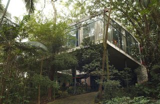 The Glass House as it appears today, with the forest grown around it, as Bo Bardi had anticipated—she insisted that the displaced vegetation be replanted just after the house was finished. Photo courtesy Espasso.