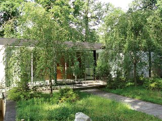 A view of the entry shrouded by overgrown greenery, before landscaping had begun.