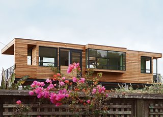 The eastern side offers an equally mesmerizing view of Mount Tamalpais, which is lush with foliage throughout the year.
