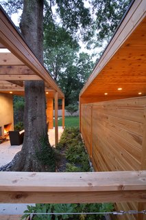 15 Brilliant Designs That Work Around Nature - Photo 8 of 15 - To save the tree, Carpenter called in an arborist, who helped Carpenter and the Domineys nurse it back to health. Carpenter then built the parts of the pavilion around the tree, moved the foundation away from the roots, and used permeable concrete slabs so that water would properly drain into the ground.