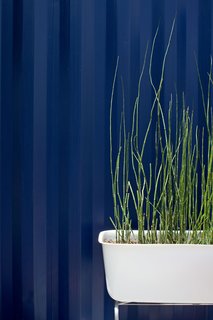 Reeds grow from a tub outside the steel structure. "We capture the graywater from the sink and shower, and use it to water the plants in the garden," says Hill.