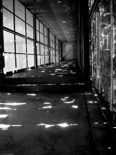 Sunlight shines through the gabions, peppering the interior with natural ornamentation.