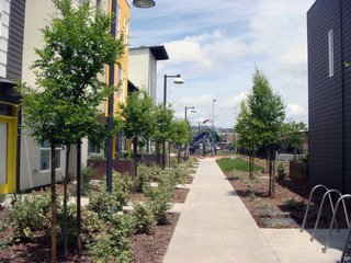 Tassafaronga Village is anchored by a large public plaza and many of the townhouses open to pocket parks and semi-private spaces that help facilitate community gatherings. At the end of this pedestrian path is a jungle gym for children in the neighborhood.