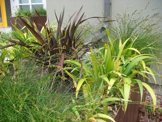 Rainwater is funneled from rooftops into flower beds filled with drought-tolerant plants. The planter boxes are constructed from Corten steel, the same material Richard Serra used in his sculptures. These planters are scattered throughout the site and the rust-red patina on each of them will develop differently over time.
