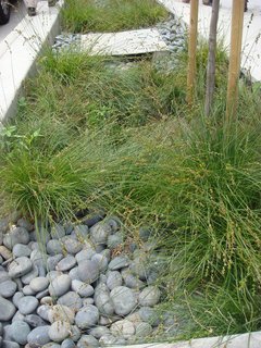 "Virtually all rainwater that falls on the site is treated in some capacity," says Project Architect Daniel Simons. The large site allowed Db+P to implement many sustainable landscaping features that aren't typically possible due to the space constraints found in most redevelopment projects. Instead of flowing directly into storm drains, water is channeled through swales and infiltration ditches, which helps reduce stormwater pollution.