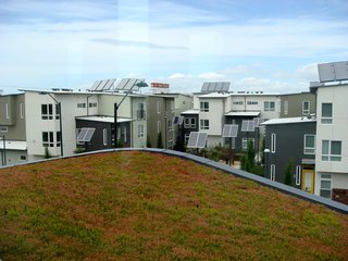 An overhead view of the rooftops shows the many solar panels in the development. Far in the distance is the Sunshine Biscuits factory and in the foreground is the green roof atop the apartment building.