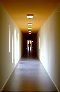 Natural light illuminates the halls and corridors within the apartment building, casting a warm glow inside.