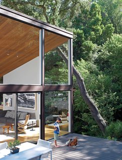 Those hammers and saws built a home for the family’s chickens, watched over by Apolo among outdoor furniture by Richard Schultz.