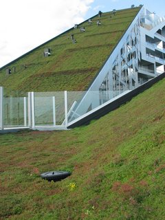 5 Reasons Why Landscaping and Bringing Plants Into Your Home Is So Valuable - Photo 10 of 11 -