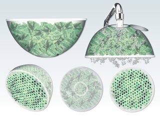 The Youngest Guns Contest - Photo 36 of 52 - Lettuce Container, created by Pratt Institute student Ali MacDonald for a Structural Packaging class.