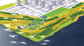 According to Wilson, the Hunters Point project represents an opportunity to protect and enhance the City’s biological diversity.