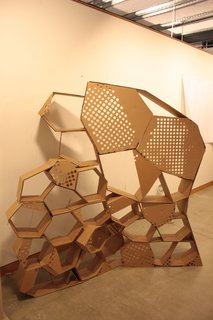 Arch Students Build a Hive - Photo 5 of 19 -