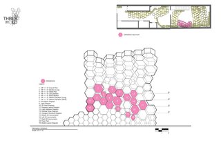 Arch Students Build a Hive - Photo 7 of 19 -