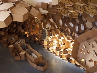 Arch Students Build a Hive - Photo 13 of 19 -