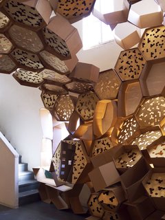 Arch Students Build a Hive - Photo 14 of 19 -