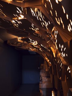 Arch Students Build a Hive - Photo 15 of 19 -