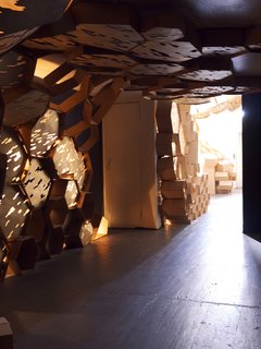 Arch Students Build a Hive - Photo 18 of 19 -