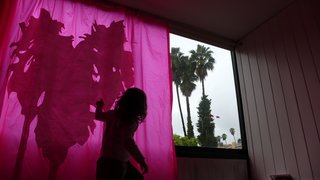 Hollywood Renovation: Week 4 - Photo 7 of 13 -
