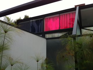 Hollywood Renovation: Week 4 - Photo 11 of 13 -
