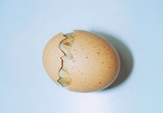 Photograph by Rinko Kawauchi.