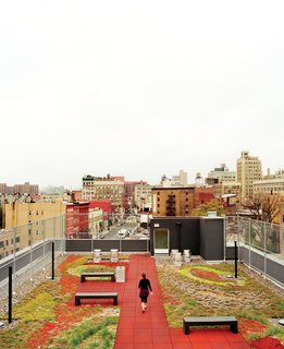 The Brook, a supportive housing building in the Bronx, occupies what had, for years, been a vacant lot. The green roof, pictured here, is one of a number of LEED-driven elements.