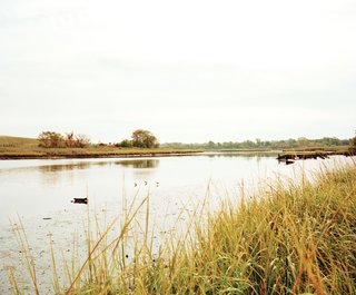 Development over the next several years will focus on public access and showcasing the site’s unusual combination of natural and engineered beauty. Phase One includes opening up 21 acres in North Park and a 20-acre swath of South Park that will incorporate ball fields, a bike loop, and natural habitats.