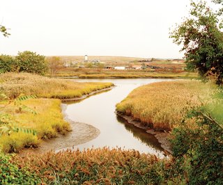 In 1948, when filling began, Fresh Kills’ "marshy, low-lying wetlands weren’t prized—people thought they were breeding grounds for mosquitoes," Grassi says.