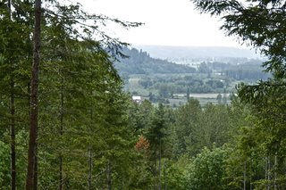 A huge part component of our project is forestry and site development. The site as we purchased it was fairly neglected and needed a lot of TLC. Working closely with the county and foresters we started to realize the potential for not only the view but the entire site. This is a bit of a sneak peak into how the site opened over time. It's a slow and painstaking process but well worth it.