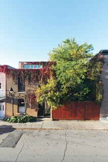 Greenery bursts out to the street from the side yard of Paul Bernier and Joëlle Thibault’s home.
