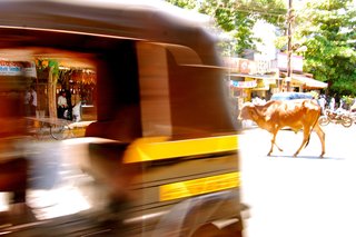 Touring India - Photo 12 of 27 -
