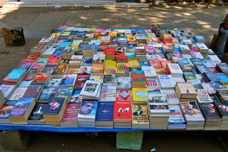 Touring India - Photo 13 of 27 - Everything—and I mean everything—is for sale on the streets of India. And like everything else, the wares are always colorful, like these books.