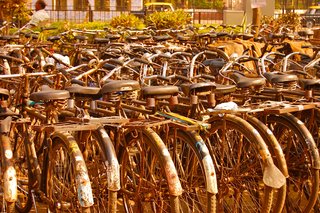 Touring India - Photo 22 of 27 - Motorcycles may rule city streets in India, but bicycles are everywhere, too.