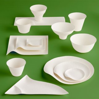 The Next-Generation Paper Plate - Photo 5 of 5 -