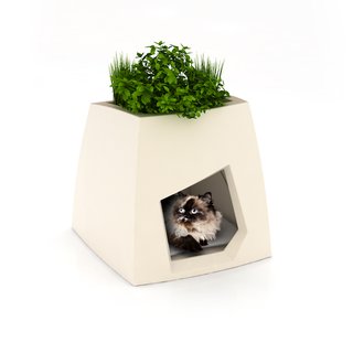 Pousse Creative's Pet Houses - Photo 5 of 5 -