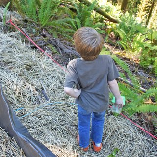 One of Jack's favorite activities has been visiting the site and collecting bugs and insects of all sorts. Here he checks out his options while standing at the slope's edge.