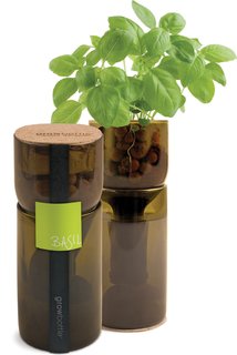 Grow Bottles - Photo 1 of 2 - The Grow Bottles contain everything you need to grow a wine-bottle-size garden: pot, clay pebbles, seeds, and more.
