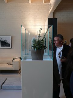 A favorite motif of Lissoni’s is the atrium tower; here, cacti and succulents are housed within a trio placed together.