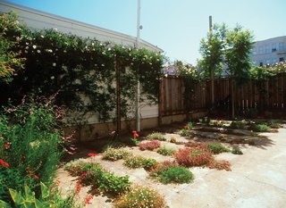 And here's the finished product. In 2009, the project garnered an Honor award from the ASLA in the Residential Design category. The 800-square foot garden cost just $500 to create.