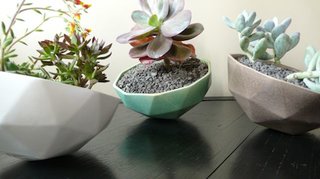 Kelly Lamb's Geo Planters