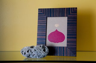 A close-up of the Pink Peacock print, framed.
