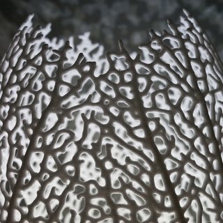 The lamps were designed to mimic the patterns of foliage veins which differ from leaf to leaf. The design team accomplished this by using a custom software and 3D printing process.