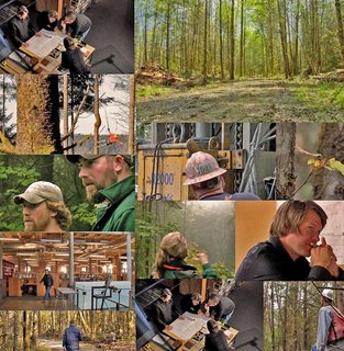 A collage of images showing the site and scenes from the design and site preparation process.