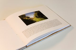 Here's a typical spread from City Notes. It describes Molinari-Mana Park, an out-of-the-way spot where former waste management man Giovanni Molinari planted an acacia tree sometime in the 1950s.