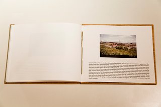 This page describes the University Mound Nursery, a block of abandoned greenhouses. Roses still bloom there.