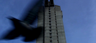 A bird passes by the iconic building.