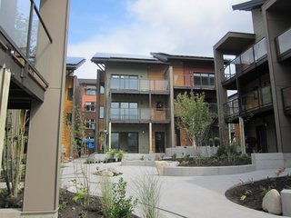 The ten homes orient around a common courtyard.