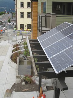 The three curved walls form our urban rain garden—a series of weirs where rainwater not otherwise used on site will filter back into the ground, rather than being piped to a large, unattractive detention pond. In the foreground is a solar trellis feeding community energy loads.